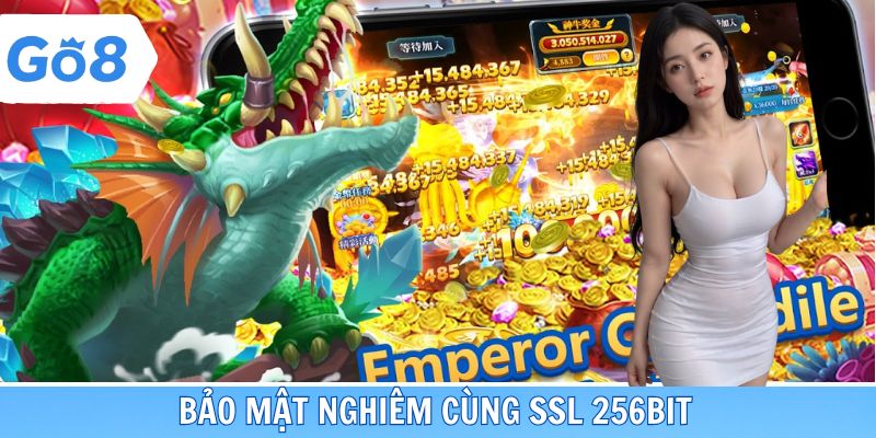 Bảo mật nghiêm cùng SSL 256bit
