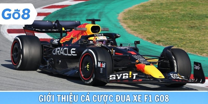 Tổng quan mô hình cá cược đua xe F1 go8