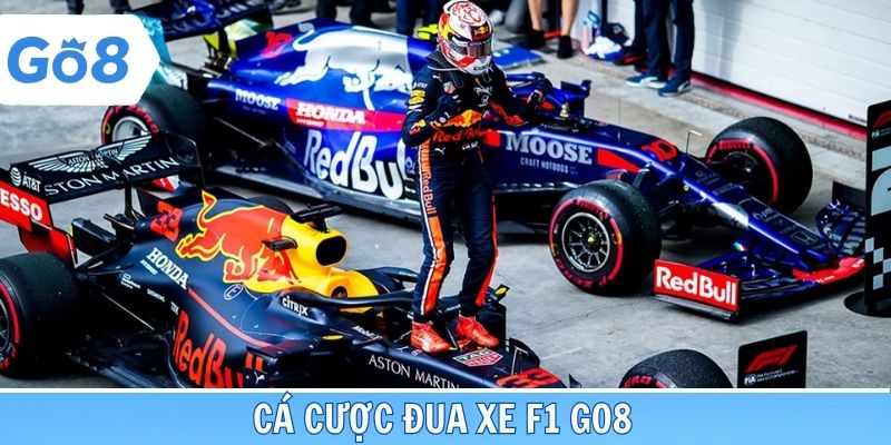 Cá cược đua xe F1 go8