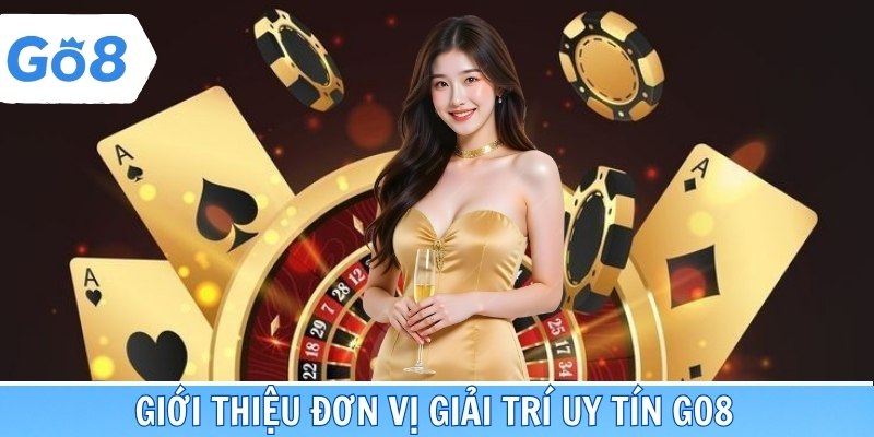 Giới thiệu đơn vị cung cấp sản phẩm giải trí đình đám Go8