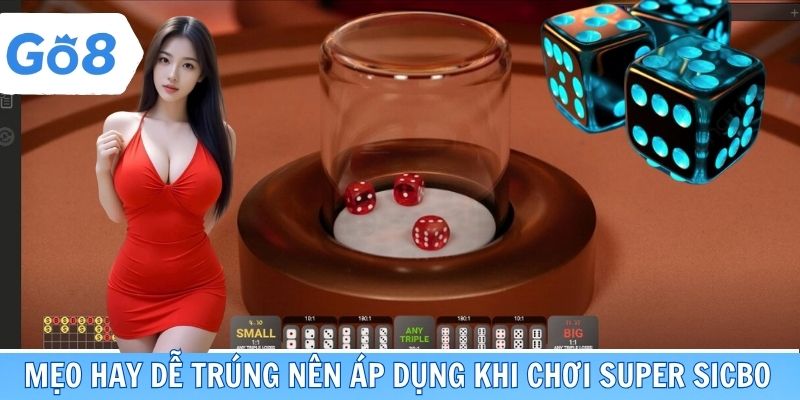 Mẹo hay dễ trúng nên áp dụng khi chơi Super Sicbo go8