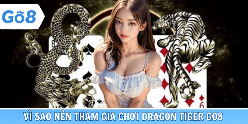 Vì sao nên tham gia chơi Rồng Hổ Go8